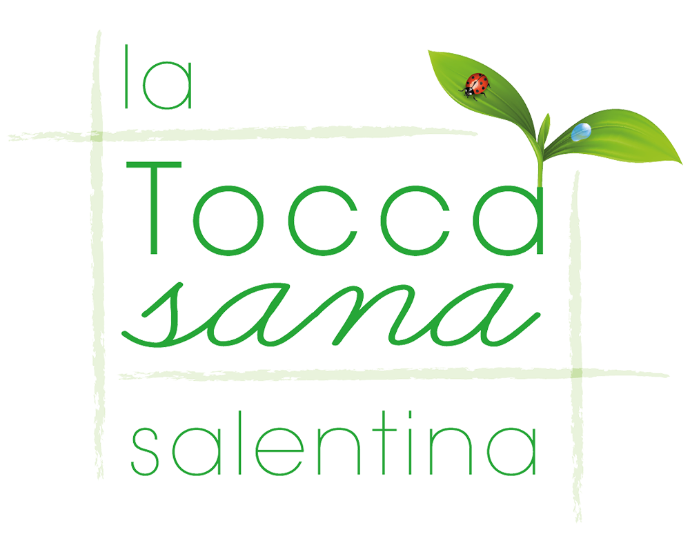 logo-toccasana